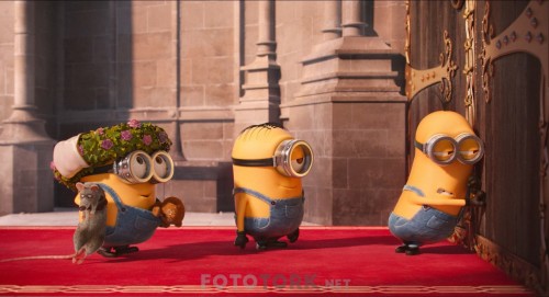 Minions.2015.1080p.BluRay.DUAL.AC3.x264.TORK.mkv_snapshot_01.01.04.959.jpg