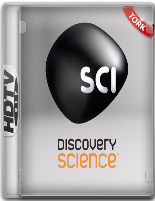 discosince.png