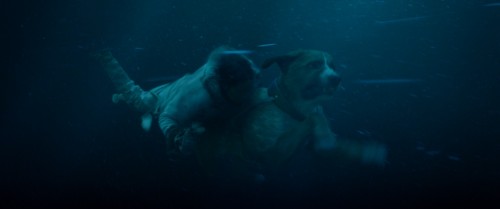 The.Call.of.the.Wild.2020.720p.BluRay.DUAL.AC3.x264.TORK.mkv_snapshot_00.24.26.256.jpg