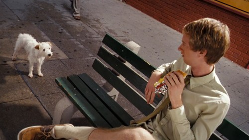 Kopek.Oteli.2009.NF.1080p.WEB-DL.E.AC3.DD5.1.DUAL.TR-ENG.TORK.mkv_snapshot_00.03.19.533.jpg