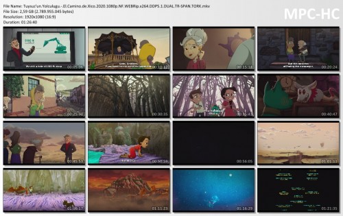 Tuysuzun.Yolculugu.-.El.Camino.de.Xico.2020.1080p.NF.WEBRip.x264.DDP5.1.DUAL.TR-SPAN.TORK.mkv_thumbs.jpg