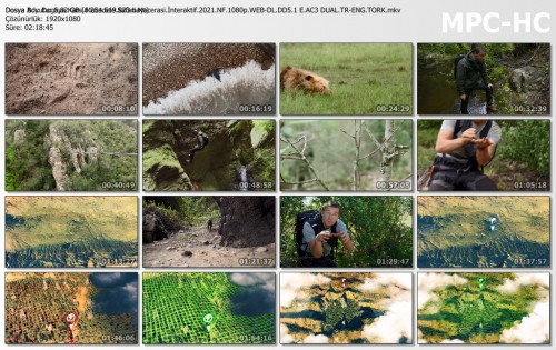 Dogaya.Karsi.Mucadele.Safari.Macerasi.Interaktif.2021.NF.1080p.WEB-DL.DD5.1-E.AC3-DUAL.TR-ENG.TORK.mkv_thumbs.jpg