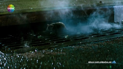 Ninja.Kaplumbagalar.-.Teenage.Mutant.Ninja.Turtles.2014.HDTvRip.1080p.x264.AC3.by.TheWelleTy.TRDUB.TORK.mkv_snapshot_00.40.16.187.jpg