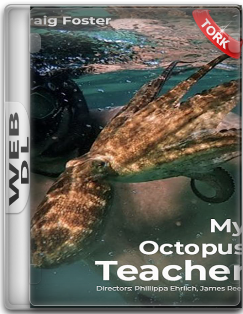 Ahtapotdan.ogrendiklerim.2020.png