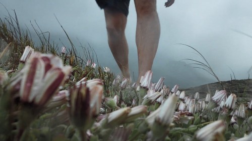 Ahtapottan.Ogrendiklerim.My.Octopus.Teacher.2020.NF.1080p.WEB-DL.DD5.1-E.AC3.DUAL.TR-ENG.TORK.mkv_snapshot_00.05.25.182.jpg