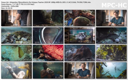 Ahtapottan.Ogrendiklerim.My.Octopus.Teacher.2020.NF.1080p.WEB-DL.DD5.1-E.AC3.DUAL.TR-ENG.TORK.mkv_thumbs.jpg