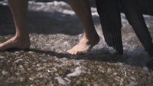 Ahtapottan.Ogrendiklerim.My.Octopus.Teacher.2020.NF.720p.WEB-DL.DD5.1-E.AC3.DUAL.TR-ENG.TORK.mkv_snapshot_00.44.22.959.jpg
