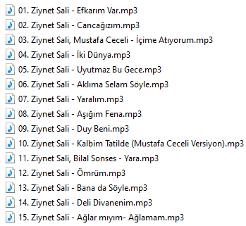 Adsiz.png