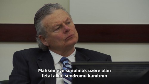 Cinayetten.Affa.Cyntoia.Brownin.Hikayesi.2020.NF.1080p.WEB-DL.DD5.1-E.AC3.DUAL.TR-ENG.TORK.mkv_snapshot_00.57.59.382.jpg