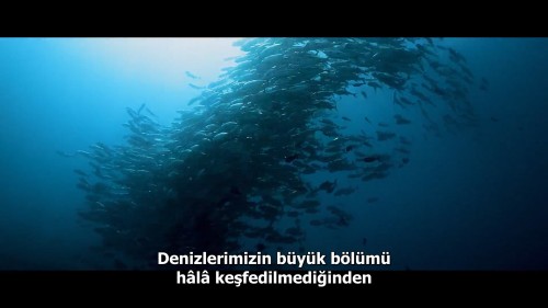 Seaspiracy.Denizlerdeki.Komplo.2021.NF.1080p.WEB-DL.DD5.1-E.AC3.DUAL.TR-ENG.TORK.mkv_snapshot_00.02.35.726.jpg