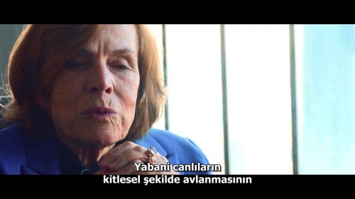 Seaspiracy.Denizlerdeki.Komplo.2021.NF.720p.WEB-DL.DD5.1-E.AC3.DUAL.TR-ENG.TORK.mkv_snapshot_00.44.34.044.jpg