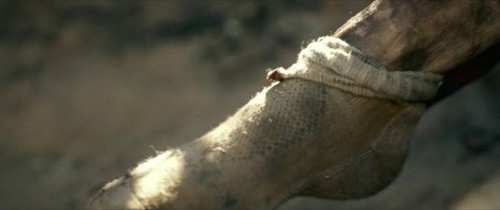 Monster.Hunter.2020.BRRip.XviD.TR.TORK.avi_snapshot_00.32.56.523.jpg