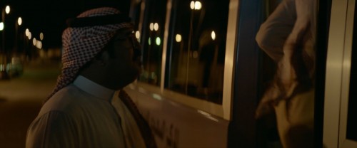 Mukemmel.Aday.The.Perfect.Candidate.2019.BDRip.1080p.x264.AC3.TR-ARA.TORK.mkv_snapshot_00.36.50.109.jpg