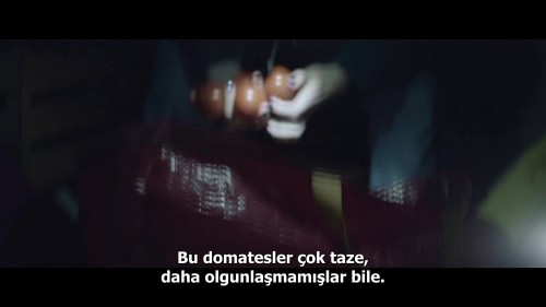 Ve.Yarin.Tum.Dunya.2021.NF.1080p.WEB-DL.DD5.1-E.AC3.DUAL.TR-ENG.TORK.mkv_snapshot_00.02.11.981.jpg