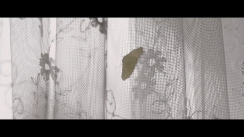 Ve.Yarin.Tum.Dunya.2021.NF.1080p.WEB-DL.DD5.1-E.AC3.DUAL.TR-ENG.TORK.mkv_snapshot_00.50.49.134.jpg