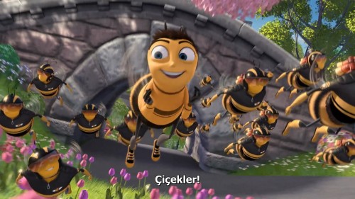 Ari.Filmi.Bee-Movie.2021.NF.1080p.WEB-DL.DD5.1-E.AC3.DUAL.TR-ENG.TORK.mkv_snapshot_00.15.01.646.jpg