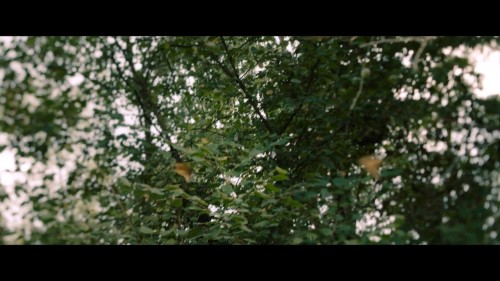 Oksijen.Oxygen.2021.NF.720p.WEB-DL.DD5.1-E.AC3.DUAL.TR-ENG.TORK.mkv_snapshot_00.26.19.292.jpg