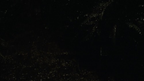 The.Fountain.2006.WEBRip.1080p.x264.AAC.DUAL.TR-ENG.TORK.mkv_snapshot_01.04.11.419.jpg