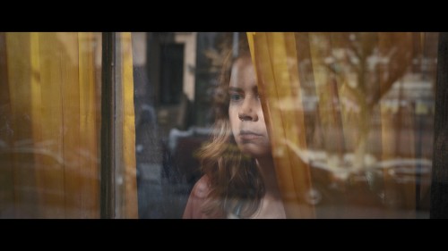 Penceremdeki.Kadin.The.Woman.in.the.Window.2021.NF.1080p.WEB-DL.x264.DD5.1-E.AC3.DUAL.TR-ENG.TORK.mkv_snapshot_00.03.14.667.jpg