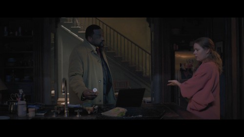 Penceremdeki.Kadin.The.Woman.in.the.Window.2021.NF.1080p.WEB-DL.x264.DD5.1-E.AC3.DUAL.TR-ENG.TORK.mkv_snapshot_00.56.40.056.jpg