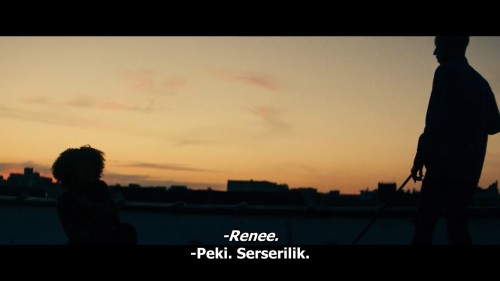 Canavar.Harmon.Monster.2018.NF.720p.WEB-DL.DD5.1.x264.E.AC3.DUAL.TR-ENG.TORK.mkv_snapshot_00.51.56.396.jpg
