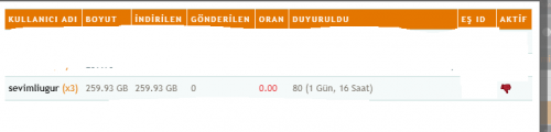 Ekran-goruntusu-2021-05-31-172927.png