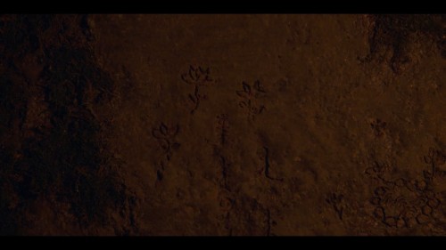 Kingdom.Ashin.of.the.North.2021.NF.1080p.WEB-DL.x264.DD5.1-E.AC3.DUAL.TR-ENG.TORK.mkv_snapshot_00.03.38.819.jpg