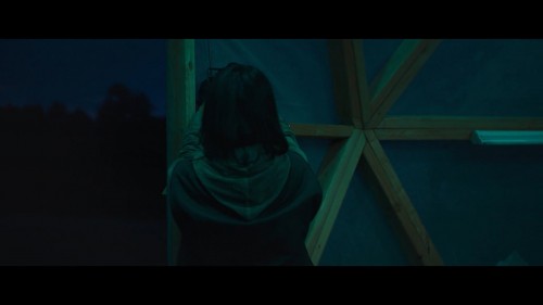 The.Swarm-La-Nuee.2020.NF.1080p.WEB-DL.x264.DD5.1-AC3.DUAL.TR-ENG.TORK.mkv_snapshot_00.02.48.031.jpg