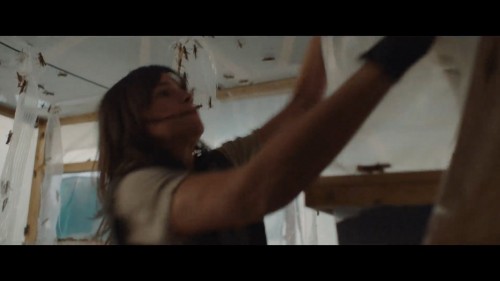 The.Swarm-La-Nuee.2020.NF.1080p.WEB-DL.x264.DD5.1-AC3.DUAL.TR-ENG.TORK.mkv_snapshot_00.22.06.384.jpg