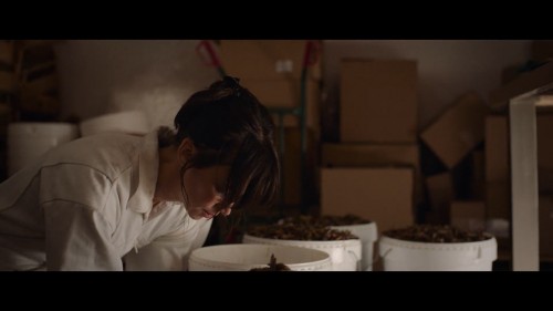 The.Swarm-La-Nuee.2020.NF.1080p.WEB-DL.x264.DD5.1-AC3.DUAL.TR-ENG.TORK.mkv_snapshot_00.45.19.823.jpg