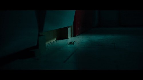 The.Swarm-La-Nuee.2020.NF.1080p.WEB-DL.x264.DD5.1-AC3.DUAL.TR-ENG.TORK.mkv_snapshot_01.12.28.371.jpg