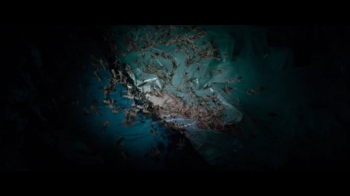 The.Swarm-La-Nuee.2020.NF.1080p.WEB-DL.x264.DD5.1-AC3.DUAL.TR-ENG.TORK.mkv_snapshot_01.28.25.874.jpg