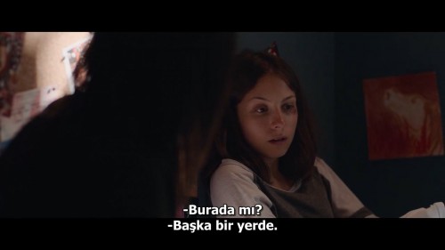 The.Swarm-La-Nuee.2020.NF.720p.WEB-DL.x264.DD5.1-AC3.DUAL.TR-ENG.TORK.mkv_snapshot_00.17.57.627.jpg