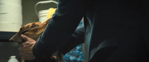 A.Dogs.Way.Home.2019.1080p.BluRay.DD5.1.x264.AC3.DUAL.TR-ENG.TORK.mkv_snapshot_00.15.04.870.jpg