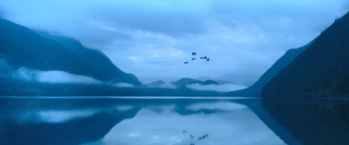 A.Dogs.Way.Home.2019.1080p.BluRay.DD5.1.x264.AC3.DUAL.TR-ENG.TORK.mkv_snapshot_01.01.20.877.jpg