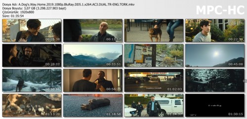 A.Dogs.Way.Home.2019.1080p.BluRay.DD5.1.x264.AC3.DUAL.TR-ENG.TORK.mkv_thumbs.jpg