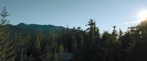 A.Dogs.Way.Home.2019.720p.BluRay.DD5.1.x264.AC3.DUAL.TR-ENG.TORK.mkv_snapshot_00.34.08.995.jpg