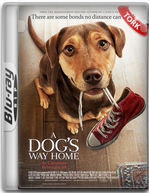 BluRayRip.png