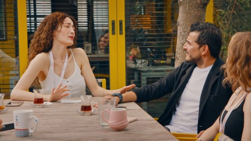 Aile.Sirketi.S03B03.1080p.WEB-DL.x264.AAC.TORK.mkv_snapshot_01.49.441.jpg