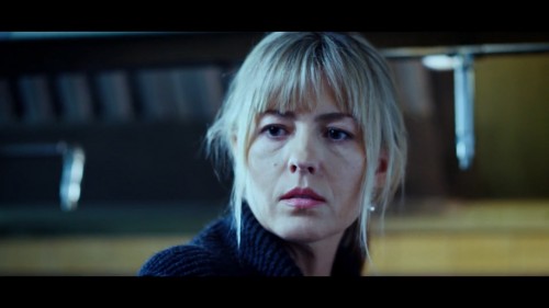 Rus.Gelin.The.Russian.Bride.2019.WebRip.1080p.x264.AAC.DUAL.TR-ENG.TORK.mkv_snapshot_00.41.22.061.jpg