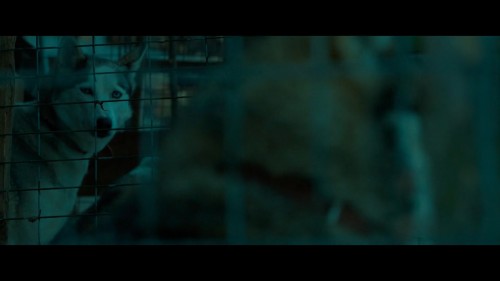 Sibirya.Siberia.2019.WebRip.1080p.x264.AC3.DUAL.TR-ENG.TORK.mkv_snapshot_00.28.27.515.jpg