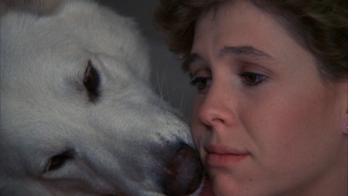 White.Dog.1982.1080p.BluRay.DUAL.AC3.x264.TORK.mkv_snapshot_00.23.37.416.jpg