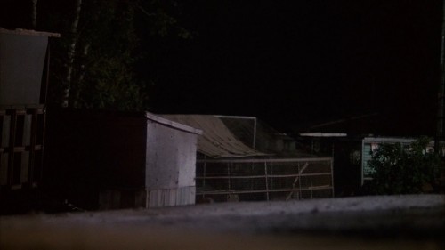 White.Dog.1982.720p.BluRay.DUAL.AC3.x264.TORK.mkv_snapshot_00.54.30.642.jpg
