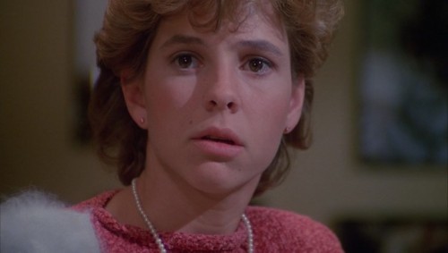 White.Dog.1982.TR.BDRip.x264.AC3.TORK.mkv_snapshot_00.04.36.709.jpg