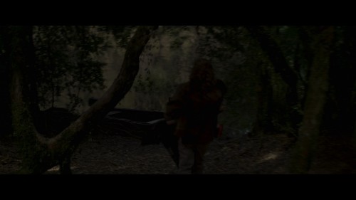 Fever.Dream.2021.NF.1080p.WEB-DL.x264.AC3.DUAL.TR-ENG.TOR.mkv_snapshot_00.22.12.887.jpg