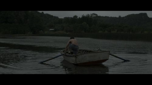 Fever.Dream.2021.NF.1080p.WEB-DL.x264.AC3.DUAL.TR-ENG.TOR.mkv_snapshot_01.20.59.133.jpg