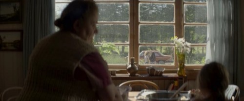 Fever.Dream.2021.NF.WEB-DL.XviD.TRDUB.TORK.avi_snapshot_00.50.40.495.jpg