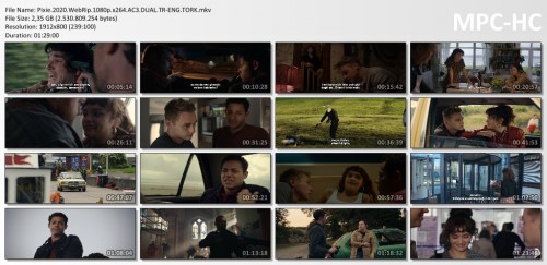 Pixie.2020.WebRip.1080p.x264.AC3.DUAL.TR-ENG.TORK.mkv_thumbs.jpg