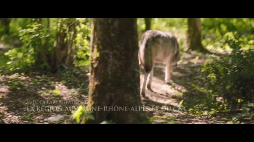 Vickynin.Gizemli.Dostu.2021.NF.1080p.WEB-DL.DD5.1.E.AC3.DUAL.TR-ENG.TORK.mkv_snapshot_00.01.20.157.jpg