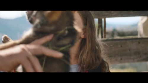 Vickynin.Gizemli.Dostu.2021.NF.720p.WEB-DL.DD5.1.E.AC3.DUAL.TR-ENG.TORK.mkv_snapshot_00.17.20.774.jpg